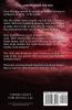 The Heart Stone: A Time Travel Romance Adventure: 6 (Mórdha Stone Chronicles)