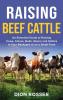 Raising Beef Cattle