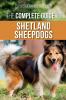 The Complete Guide to Shetland Sheepdogs