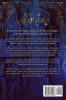 Soul of Anesidora: The Sorcerer's Guide
