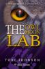 The Owl Moon Lab