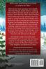 Reverend Margot Quade Cozy Mysteries Volume 2