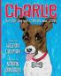 Charlie the Little Dog with Courage and Spunk