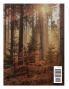Wayfarer Magazine Issue 38