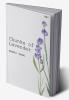 Chunks Of Lavender - A Collection of Poetry and Prose