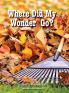 Where Did My Wonder Go?