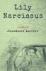 Lily Narcissus