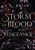 Storm of Blood and Vengeance