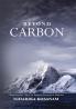 Beyond Carbon