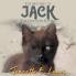 The Mystery of Jack the One-Eyed Kitten