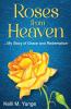 Roses From Heaven