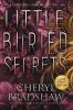 Little Buried Secrets Large Print Edition