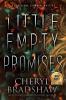 Little Empty Promises Large Print Edition