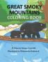 Great Smoky Mountains Coloring Book