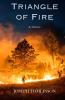 Triangle of Fire: 1 (Lightning Trilogy)