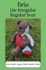 Brio the Irregular Regular Bear