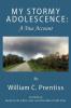My Stormy Adolescence
