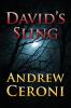 DAVID'S SLING