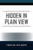 Hidden in Plain View