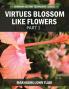 Virtue Blossoms Like Flowers