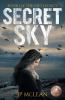 Secret Sky