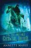 The One and Only Crystal Druid: 1 (The Guild Codex: Unveiled)