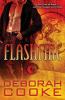 Flashfire: A Dragonfire Novel: 8 (Dragonfire Novels)