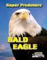 Bald Eagle: Age 6 and above (Super Predators)