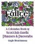 Fàilte! A Colouring Book Of Scottish Gaelic Phrases & Proverbs