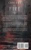 Consort of Fire: 4 (The Witch's Consorts)