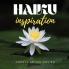 HAIKU inspiration