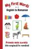 My First Words A - Z English to Romanian: Bilingual Learning Made Fun and Easy with Words and Pictures: 14 (My First Words Language Learning)