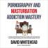 Pornography and Masturbation Addiction Mastery
