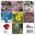 Flowers A No Text Picture Book