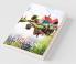 Landscapes A No Text Picture Book