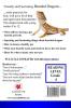 I Want A Bearded Dragon