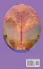 The Sovereign Light: A Course In Metaphysical Spirituality