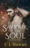 Saviour of The Soul: 2 (Soul Series)