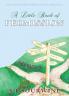 A Little Book of Permission
