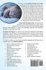 British Shorthair Cat: From bringing your kitten home to comforting your senior age beloved companion