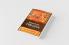Essays on the GITA