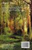 Magical Stories