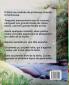 Peter the Pixie: Peter & the Ants Pt 1 - Je Sais Lire Fr - Al: 8