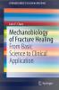 Mechanobiology of Fracture Healing