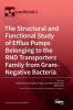The Structural and Functional Study of Efflux Pumps Belonging to the RND Transporters Family from Gram-Negative Bacteria