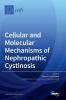 Cellular and Molecular Mechanisms of Nephropathic Cystinosis