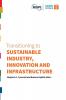 Transitioning to Sustainable Industry Innovation and Infrastructure