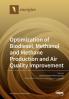 Optimization of Biodiesel Methanol and Methane Production and Air Quality Improvement