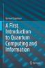 A First Introduction to Quantum Computing and Information