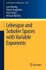 Lebesgue and Sobolev Spaces with Variable Exponents